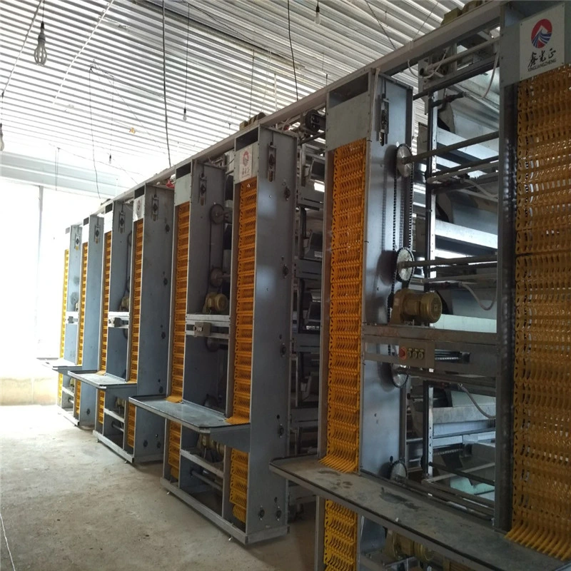 Self Span Automatic Steel Poultry Farm System with Control Center