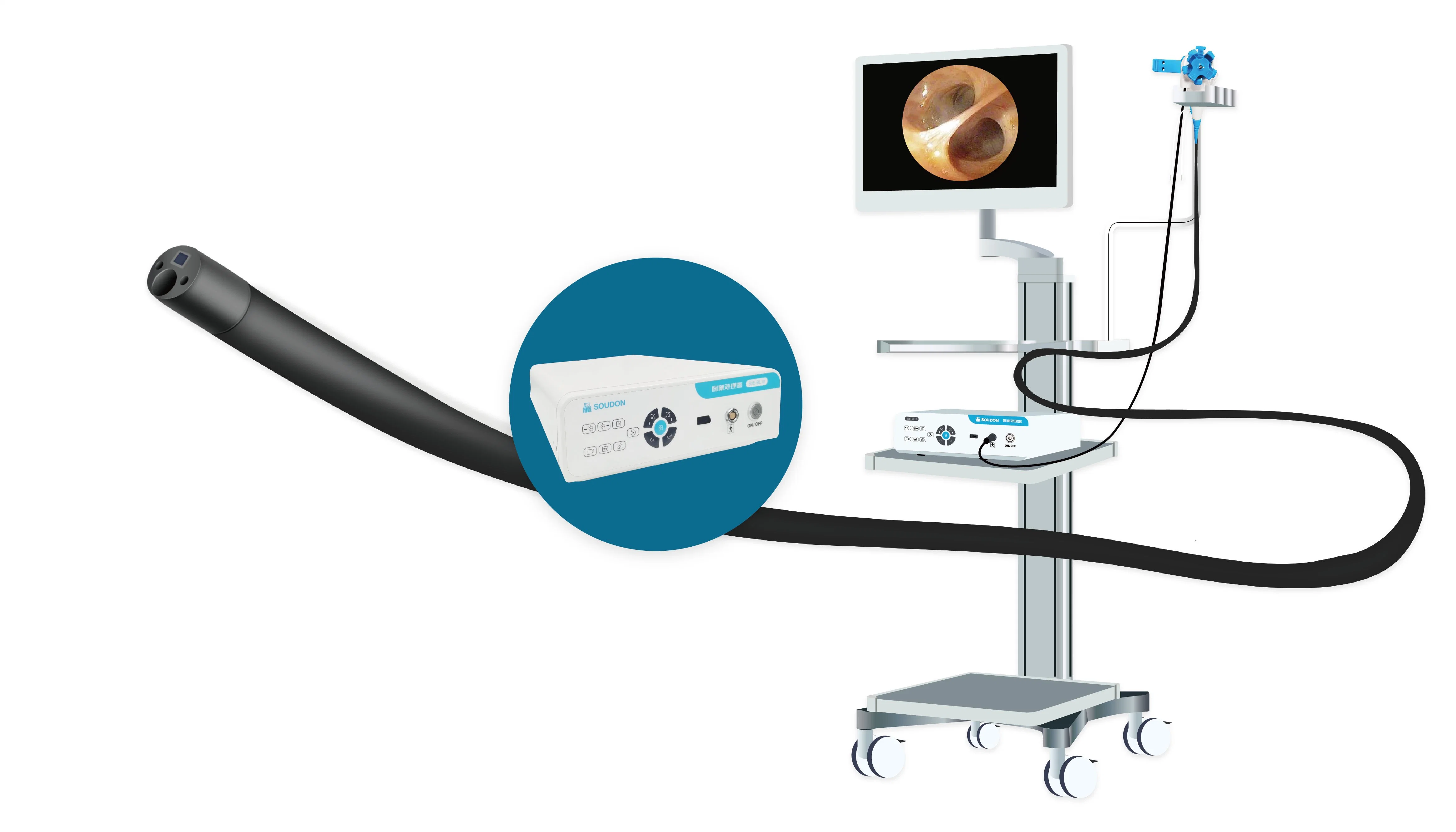 Medical Flexible Choledochoscope for Surgery Medical Instruments Endoscope Portable Flexible Video Bronchoscope/ Choledochoscope / Ureteroscope Price