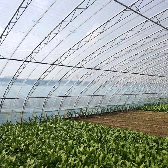 Flores frutas vegetales comerciales sistemas hidropónicos para invernaderos Aeroponics System Multi Span de gases de efecto