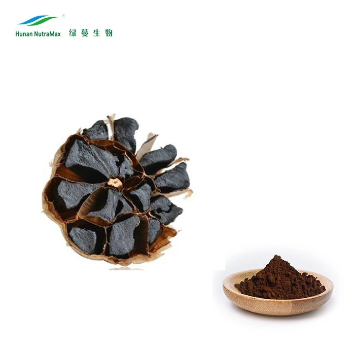 Factory Supply 4: 1~20: 1 Fermented Black Garlic Seed Extract Powder