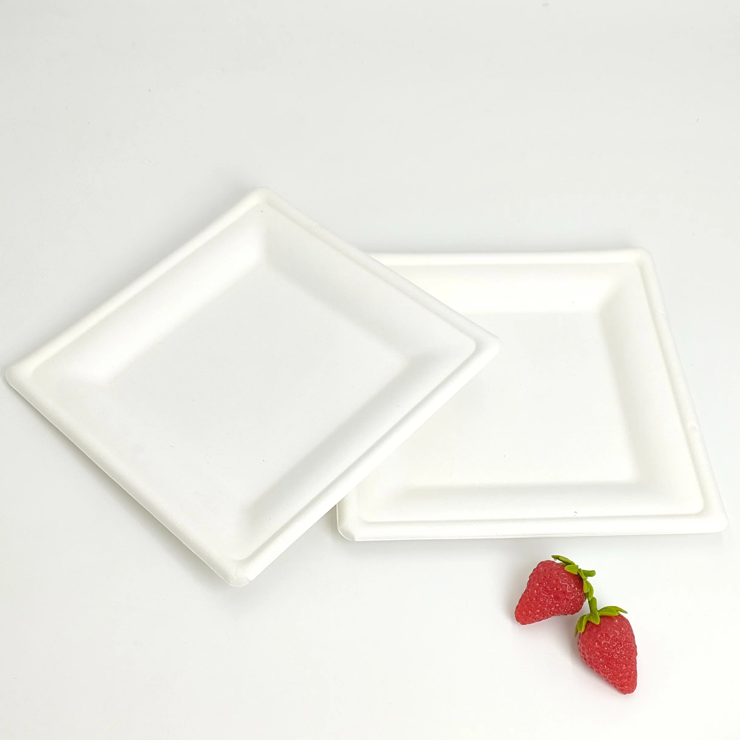 Disposable Sugarcane Bagasse Pulp Tableware Compostable Custom Food Tray