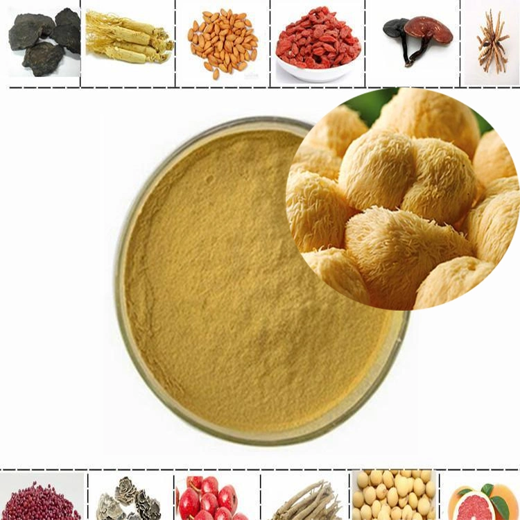 Natural Plant Extract Organic Natural Lions Mane Mushroom Extract for Anti-Cancer and Lower Blood Pressure Herb Herbal