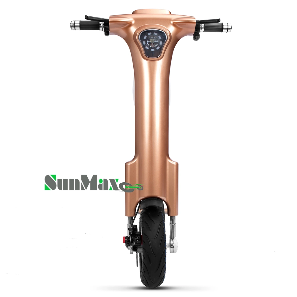 Intelligent LCD Display and Ce/FCC Certificates Foldable E-Bike