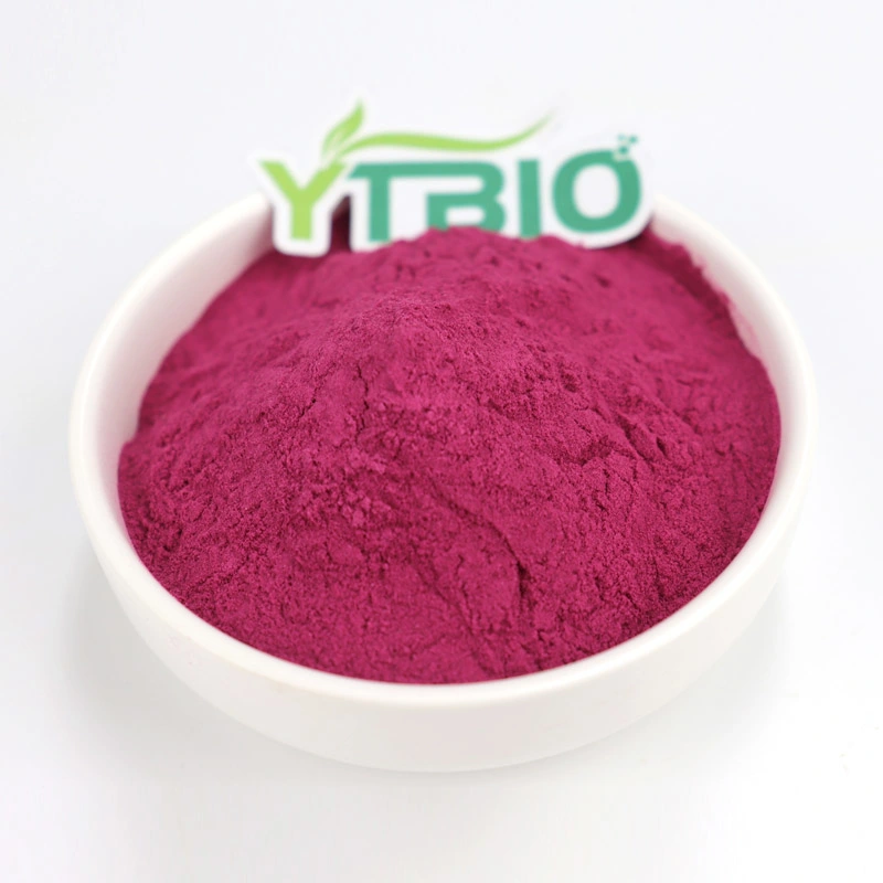 El polvo de pitaya dragón rojo en polvo de la fruta