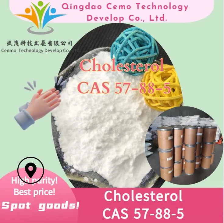 De grado alimentario de alta pureza CAS 57-88-5 fabricante de colesterol de China