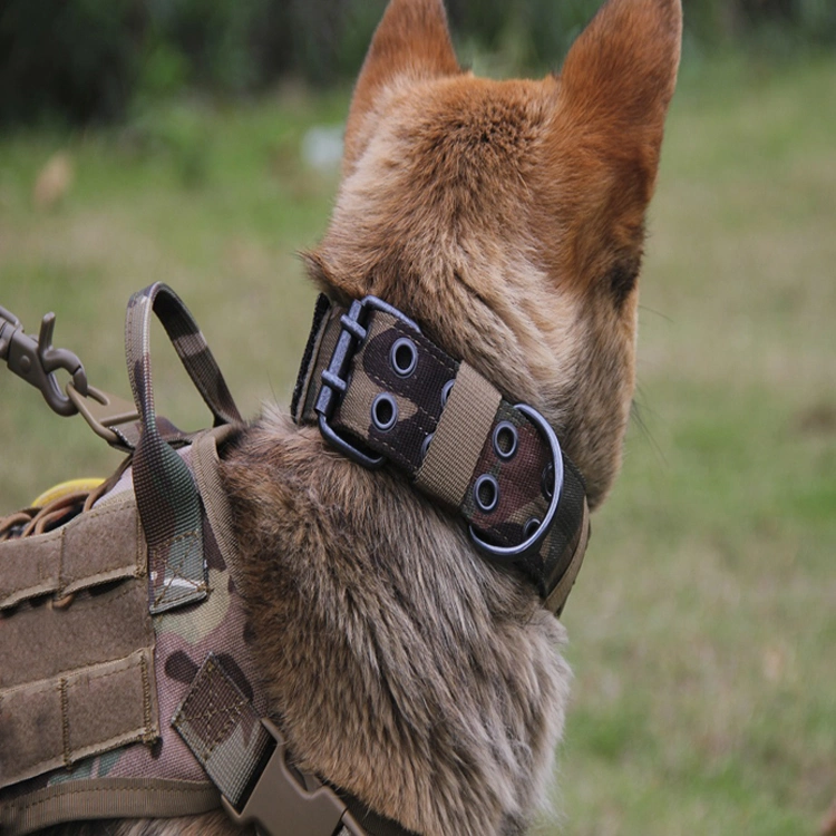 Equipo de collar de perros de caza Policía Militar duradera estilo ajustable K9 Servicio Collar de Perro táctico para entrenamiento/Pet Toy