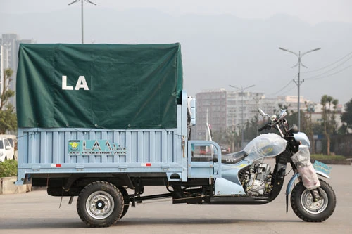 Грузовой трехколесный электрический грузовой трехколесный мотоцикл Auto Rickshaw пассажирский мотоцикл