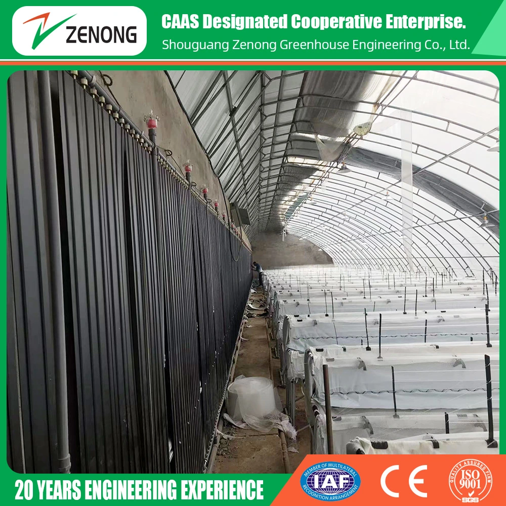 Easy Installation Solar Greenhouse Air Insulation Wall Green Houses Oval Tube Green House with Quilt for Cold Area Agriculture Vegetables Planting