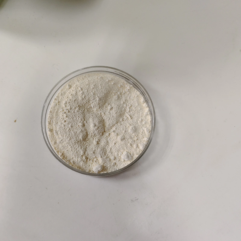 Bulk Pullulan Powder Pharmaceutical Pullulan Powder CAS 9057-02-7pullulan Raw Powder