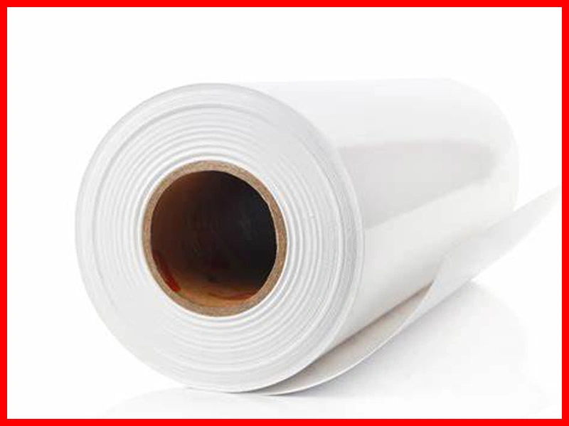 Water Based Inkjet Media Water Resistent Glossy W/P PP with Self Adhesive 220mic