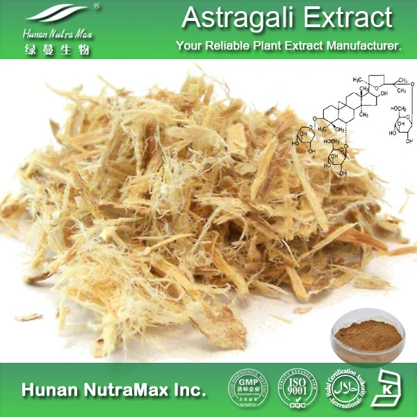 Astragalus Extract Powder Astragaloside IV 0.3%~98%