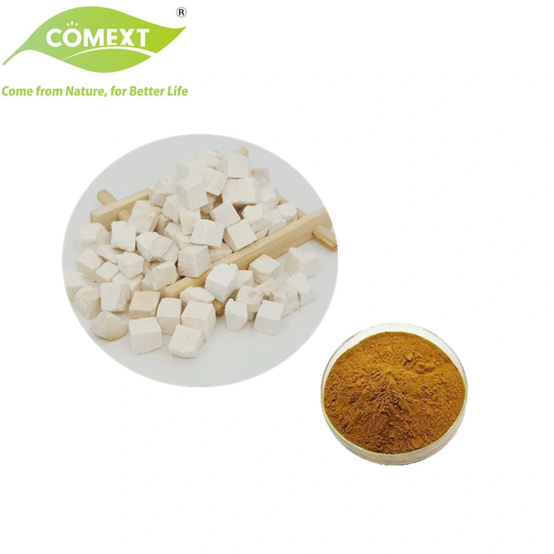 Comext Halal Kosher Tuckahoe Powder Poria Cocos Polysaccharide 30% 10%-50% Poria Cocos Extrakt