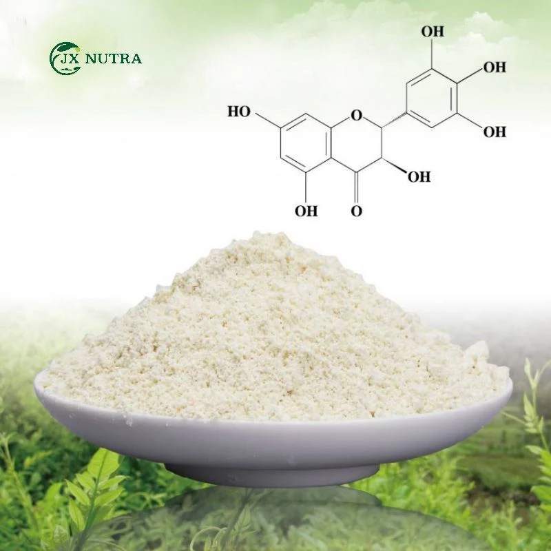 Dihydromyricetin Ampelopsin DHM Extracto de té de la Vina Ampelopsis Grossedentata Extracto de Ampeloptin