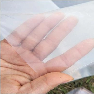 Anti-Mist Pope Plastic Ultraviolet-Proof UV Film for Greenhouse