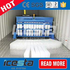 Icesta Ce Confirmed Crane System Design Block Ice Machine