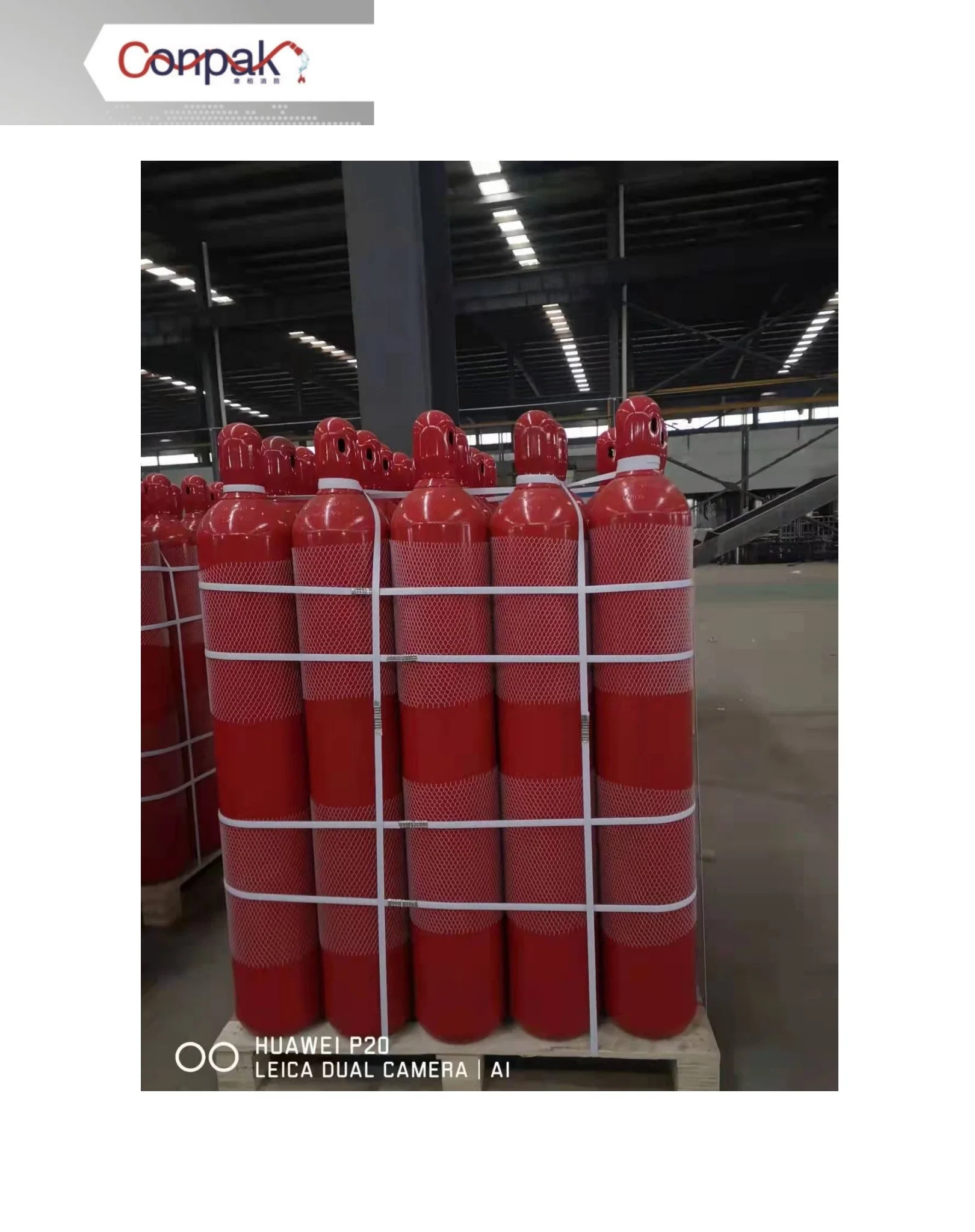 High quality/High cost performance  Fire Suppression System Fire Fighting Equipment