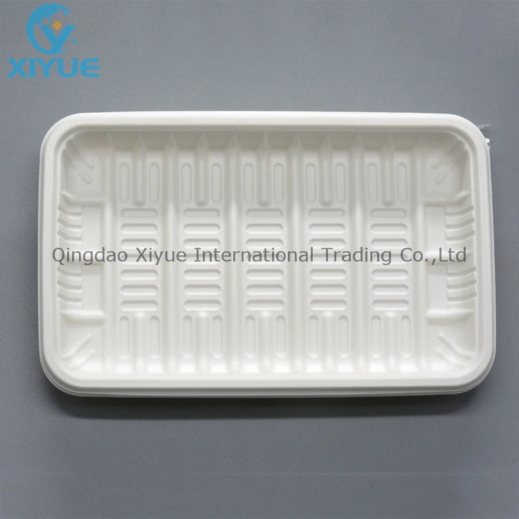 Medical Products Disposable Oral Plastic PP Care Tray Products