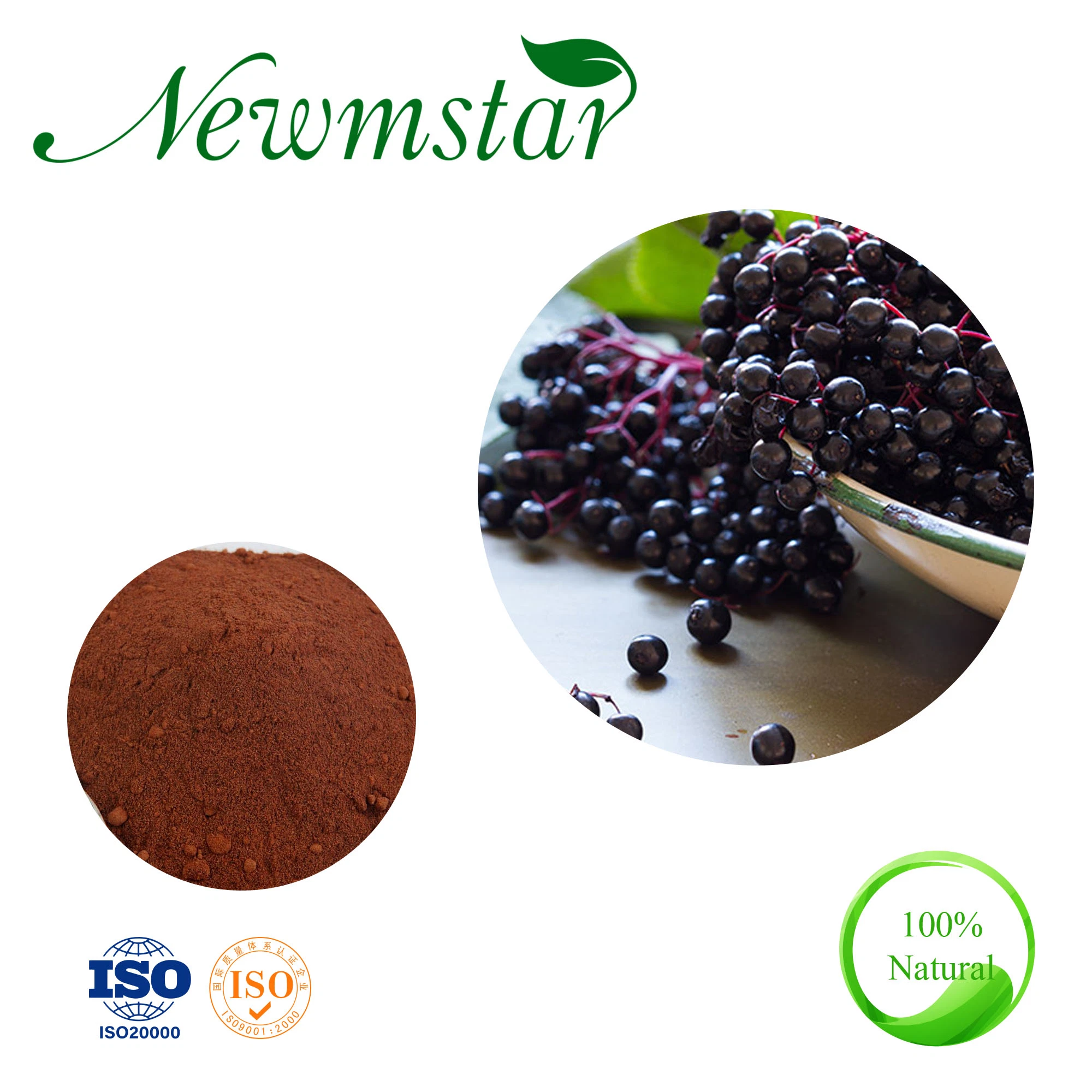 High quality/High cost performance  100% Natural Anthocyandins for Antioxidant Elderberry Extract/ Sambucus Nigra L.