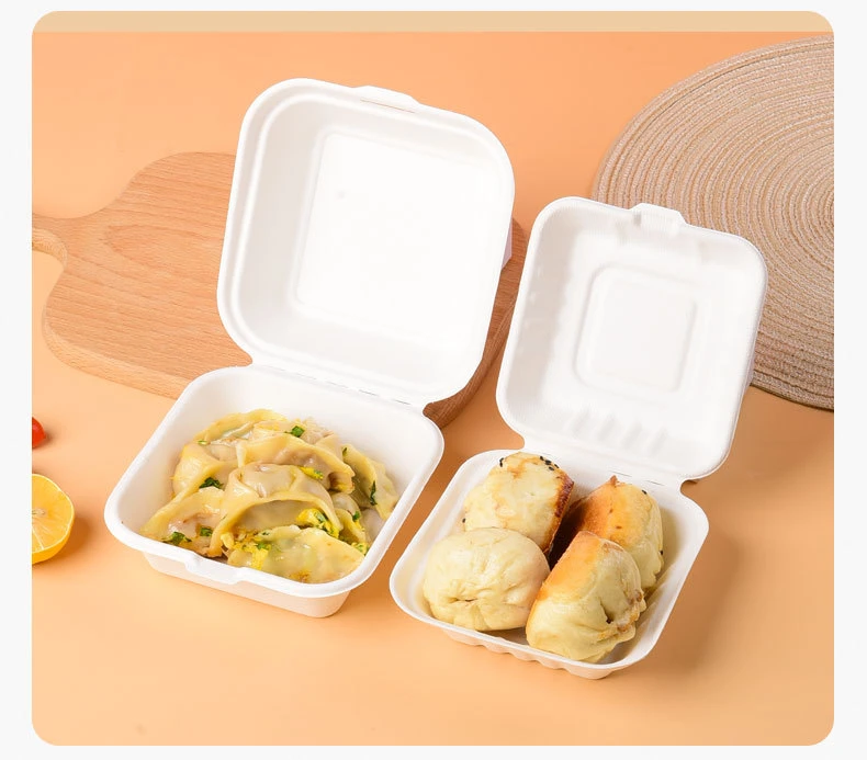 Dumpling Bread Box Plastic to Go Lunch Box Food Container Chip Burger Box