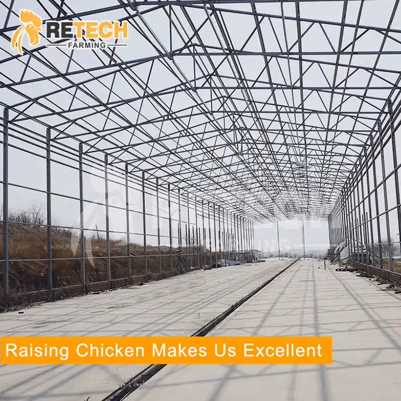 Good design light steel structure chicken farm poultry house in Africa