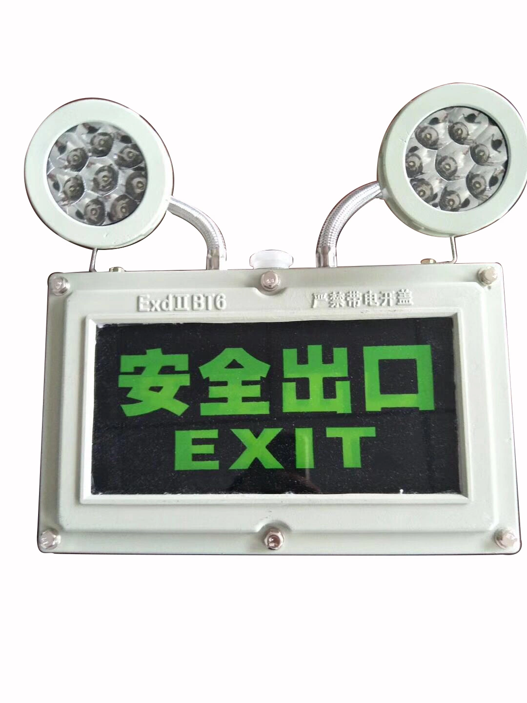 Atex Certificated 1W 2W 3W 6W LED Digital Emergency Light Exit Sign Rechargeable Emergency Light