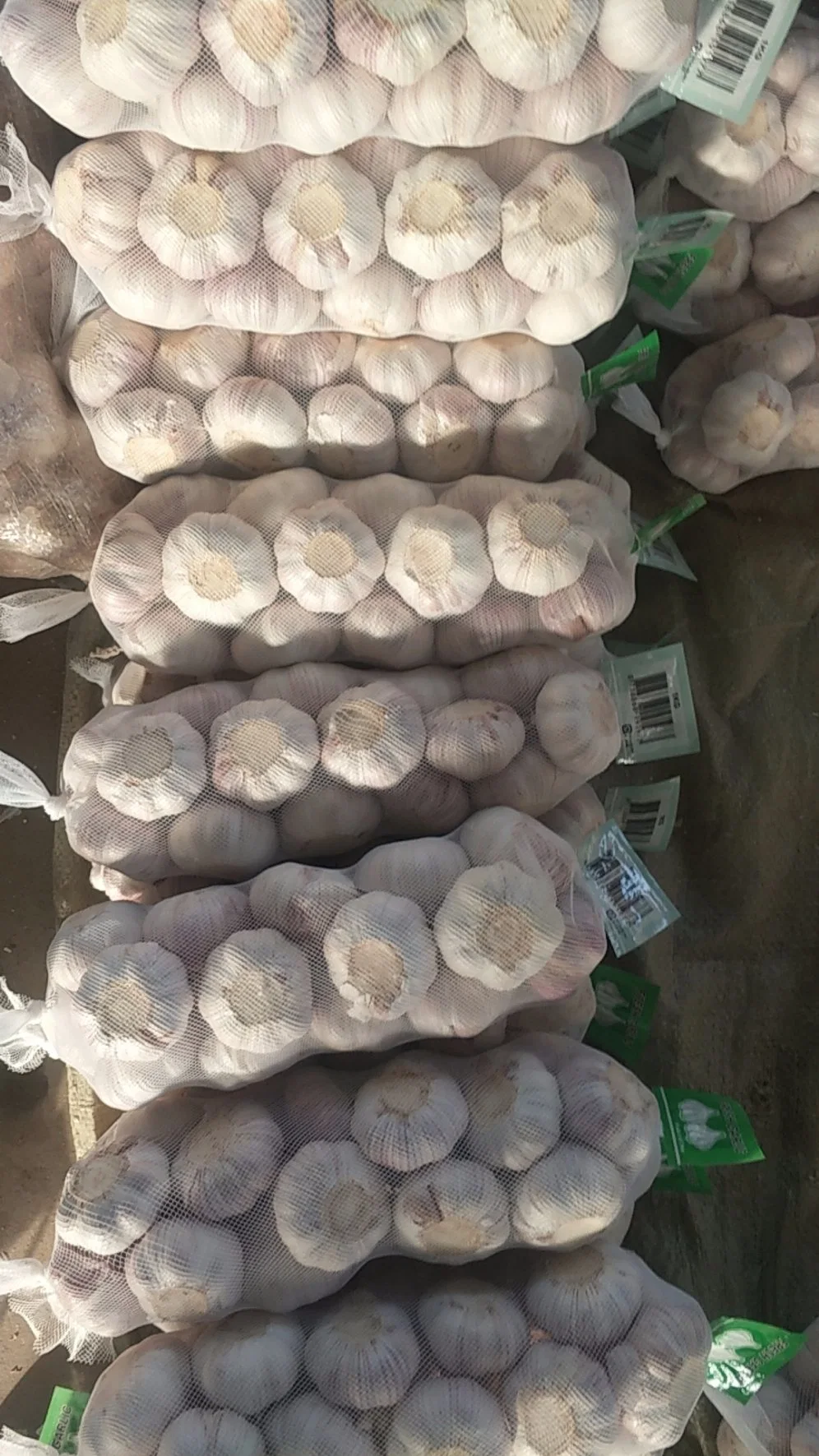 1kg X 10 Garlic 10kg Carton / Normal White Garlic