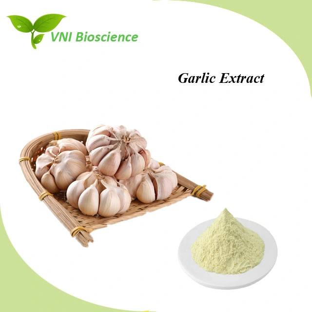 Kosher Halal Certified 100% Natural Allicin and Alliin Garlic Extract