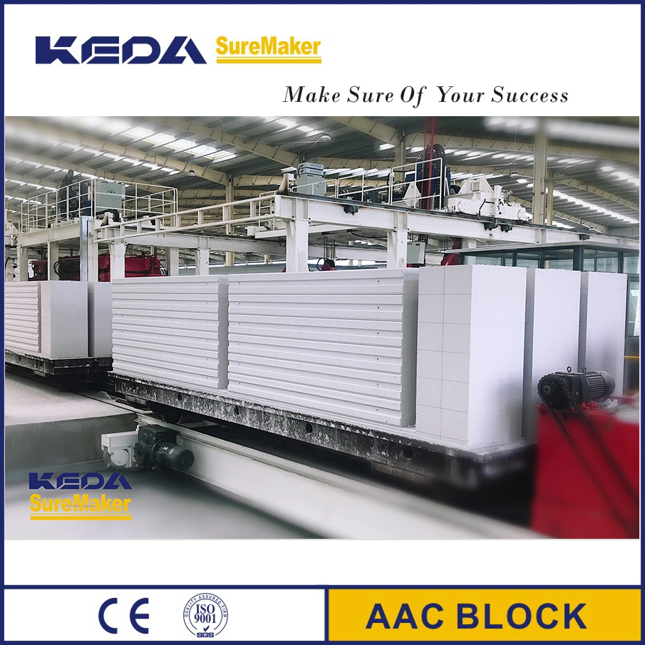 Autoclaved Aerated Concrete (AAC) Brick Making Machine with High quality/High cost performance 