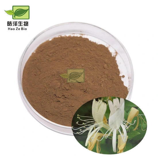 Factory Price for Honeysuckle Flower Extract Lonicera Caprifolium Honeysuckle Extract