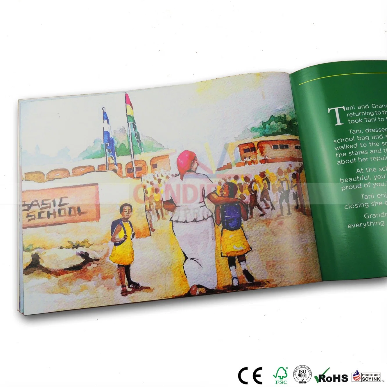 Quality Booklet Printing Children Book Catalog Brochure