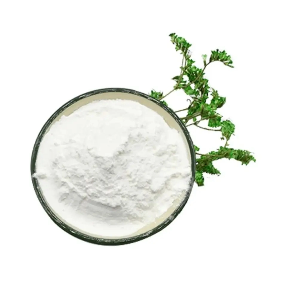 Nootropics Fasoracetam Powder CAS 110958-19-5 in Stock