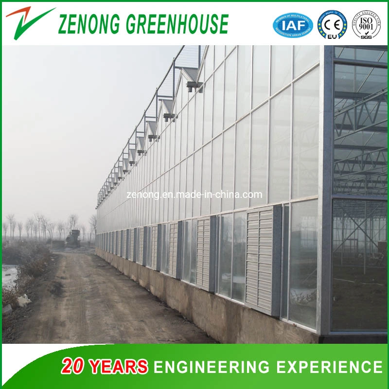 Hot DIP Galvanized Multi Span Gutter Glass PC Greenhouse for Hydroponics Vegetables