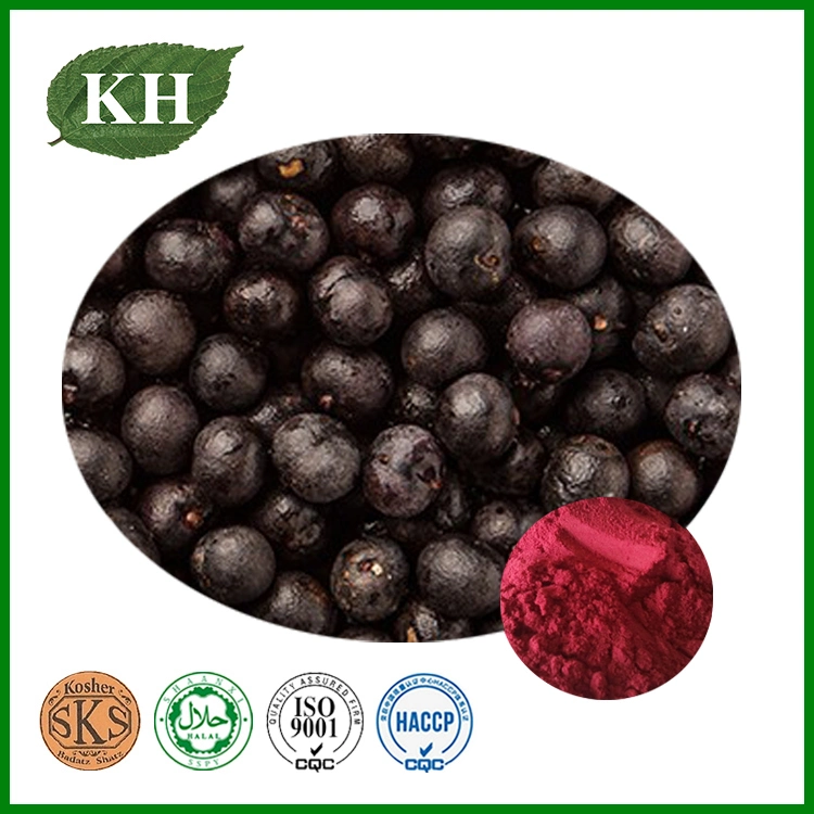 100% Natural Acai Berry Extract Polyphenols 10%, 40%; Anthocyanidins