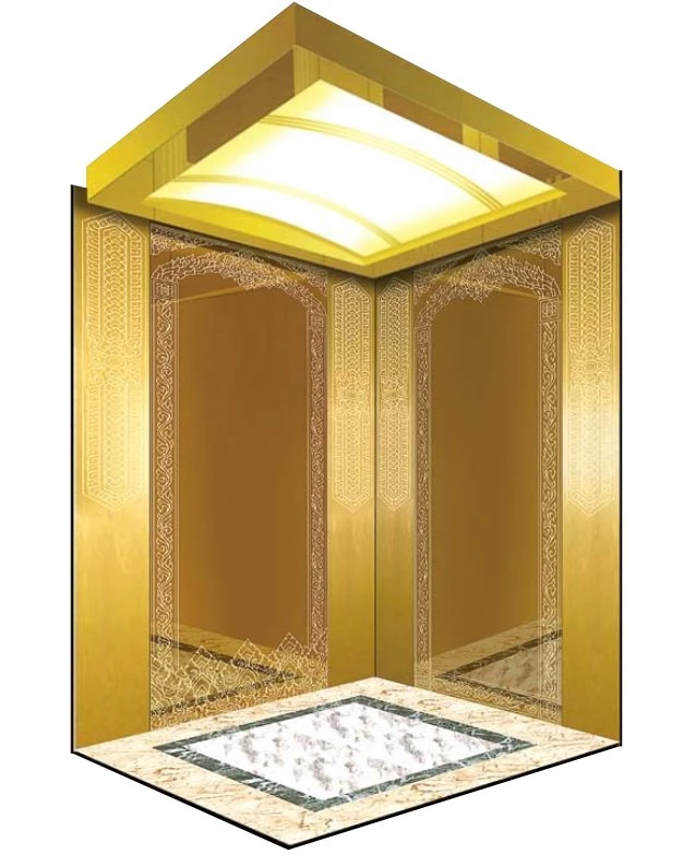 Fujixun Gorgeous and Noble Gold Cabin Passenger Elevator with Low Price