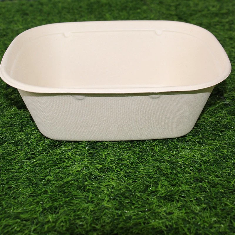 24oz 32oz 42oz Compostable Bio Oval Rectangle Salad Bagasse Food Box Manufacturing Process Takeaway Packaging Bowl with Clear Lid