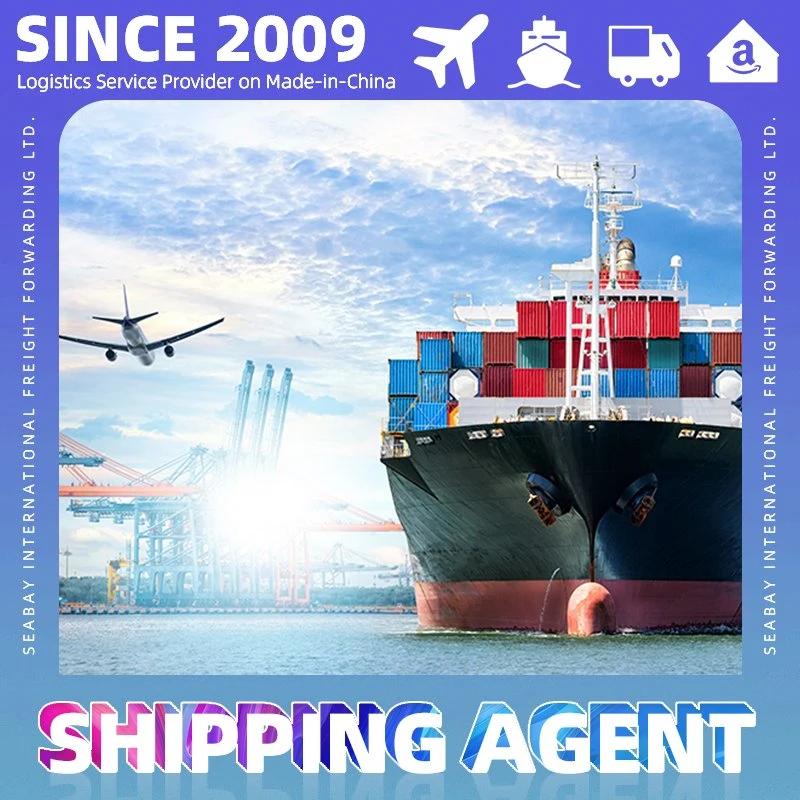 Import Export Shipping Agent or Xiamen Ocean Freight Forwarder Service to UK