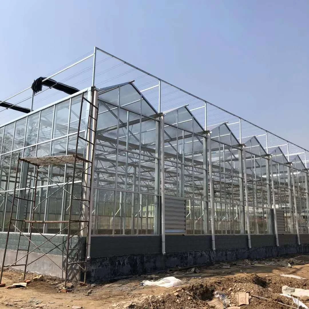 Agricultural Multi-Span Glass Greenhouse with External/Internal Shading System