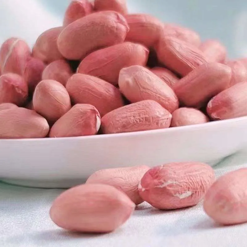 China Peanut Big Size Peanut Kernel Red Skin Cheap Price Good Quality