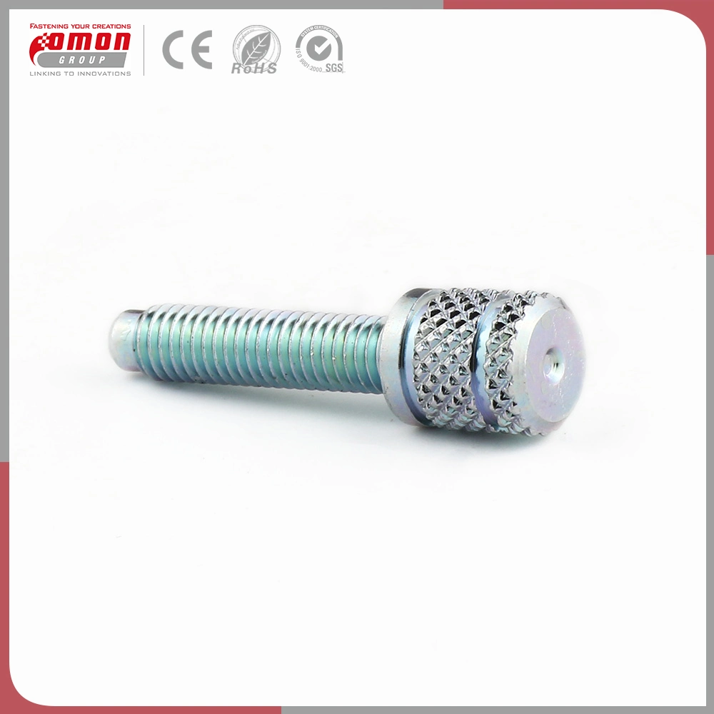 Customized Screw Stud Stainless Steel Brass Bolt for Building