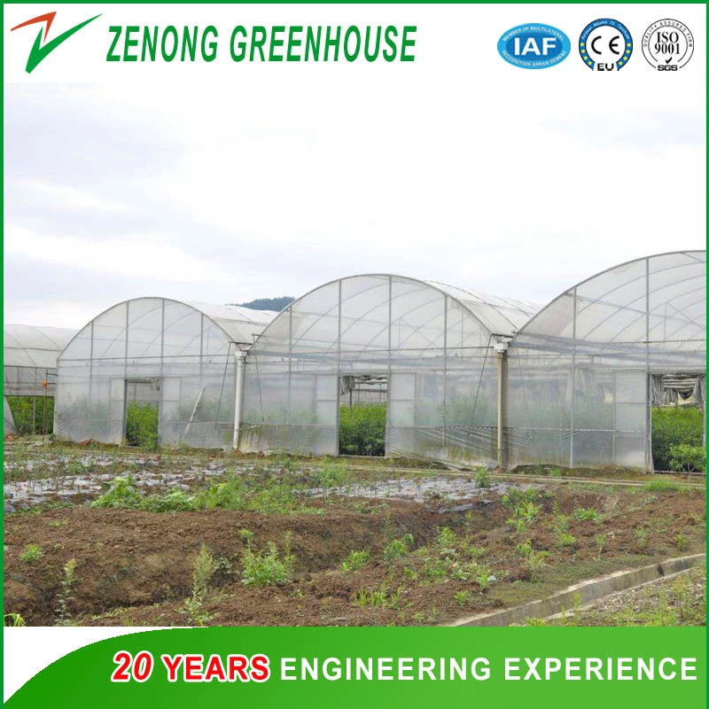 Factory Price Steel Structure Film Greenhouse Materials/Equipment/Cooling Pad/Fan/Irrigation etc.