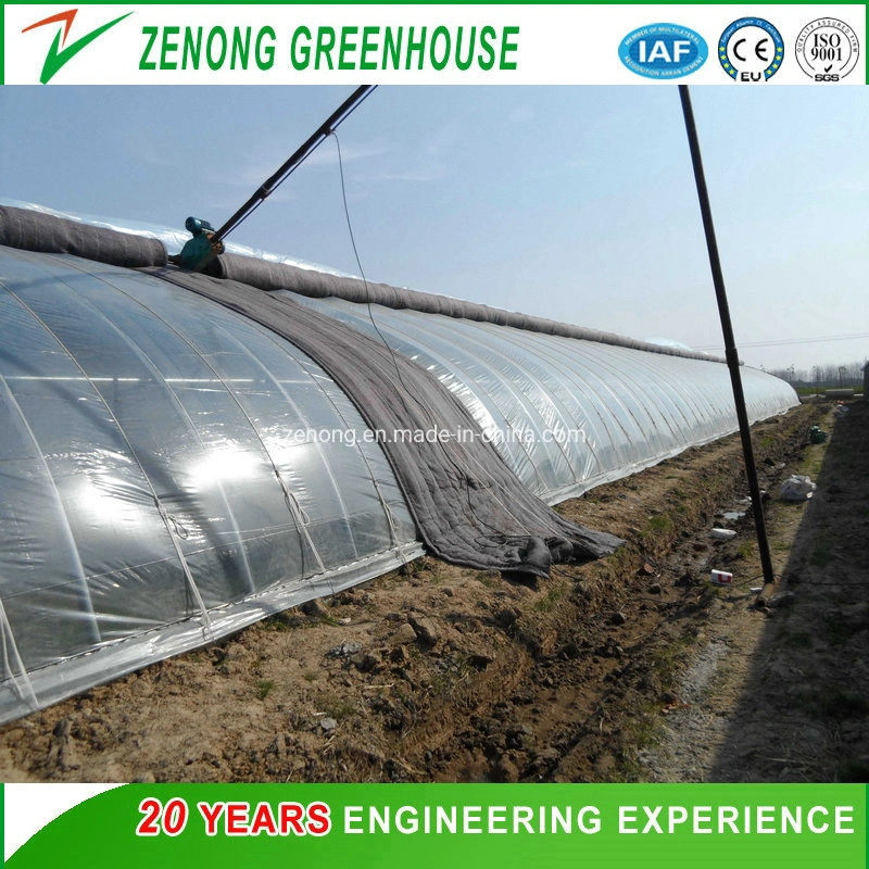 Easy Installation Solar Greenhouse Air Insulation Wall Green Houses Oval Tube Green House with Quilt for Cold Area Agriculture Vegetables Planting