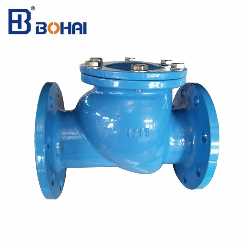 High quality/High cost performance Stainless Steel Check Flange Swing Check Valve