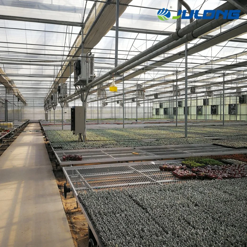 Commercial Greenhouse Industrial Hydroponic Greenhouse System