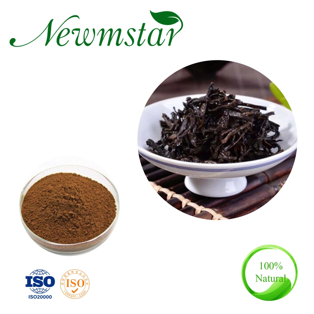 Extracto de té Pu'er en polvo soluble en agua con un buen mercado de Corea