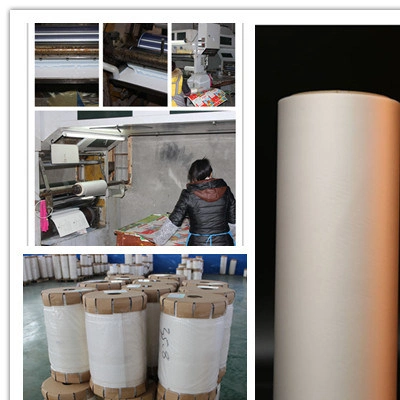 Multiple Extrusion 25 Micron BOPP Material Thermal Laminating Roll Film