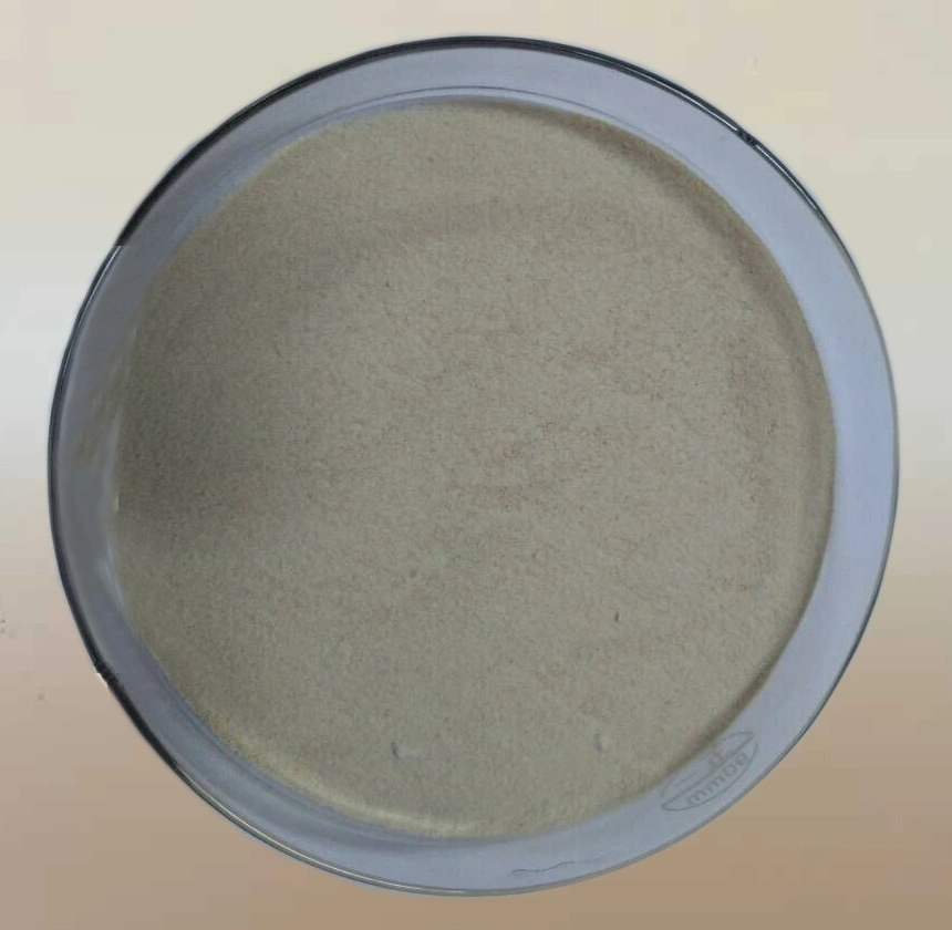 Plant Source Compound Amino Acid 40% Powder