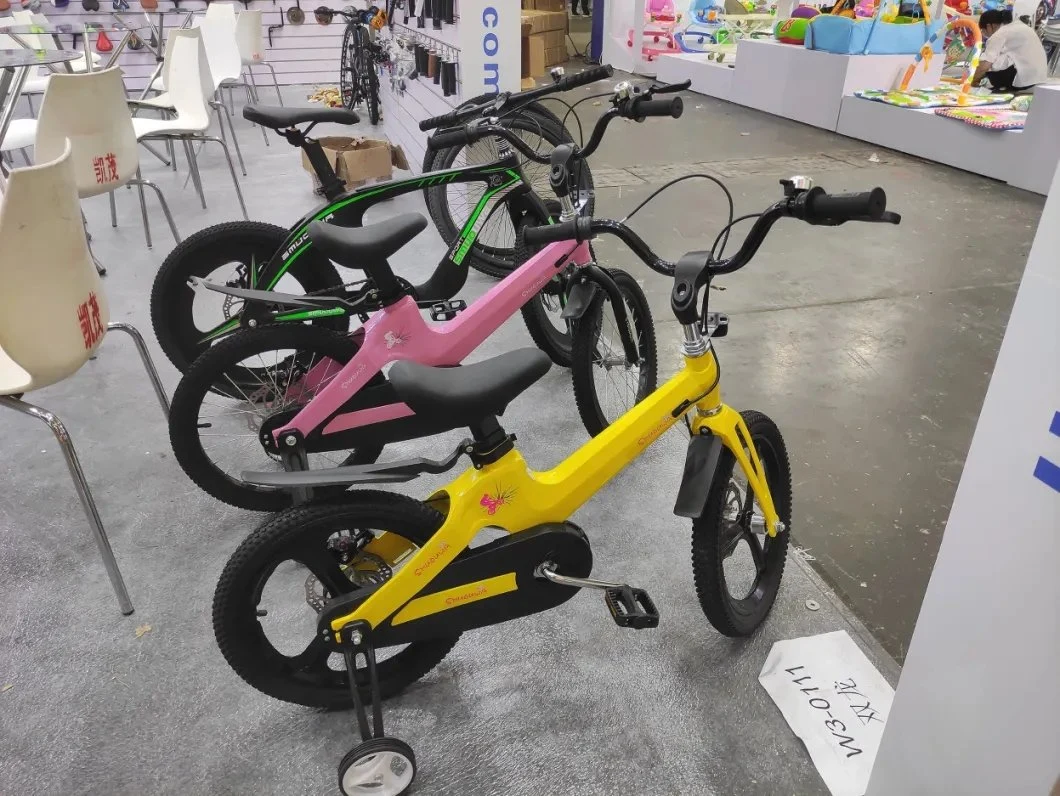 Magnesium Alloy Frame Fresh Design Children Kids Ride on Bike Bicycle Cycling with Training Wheel