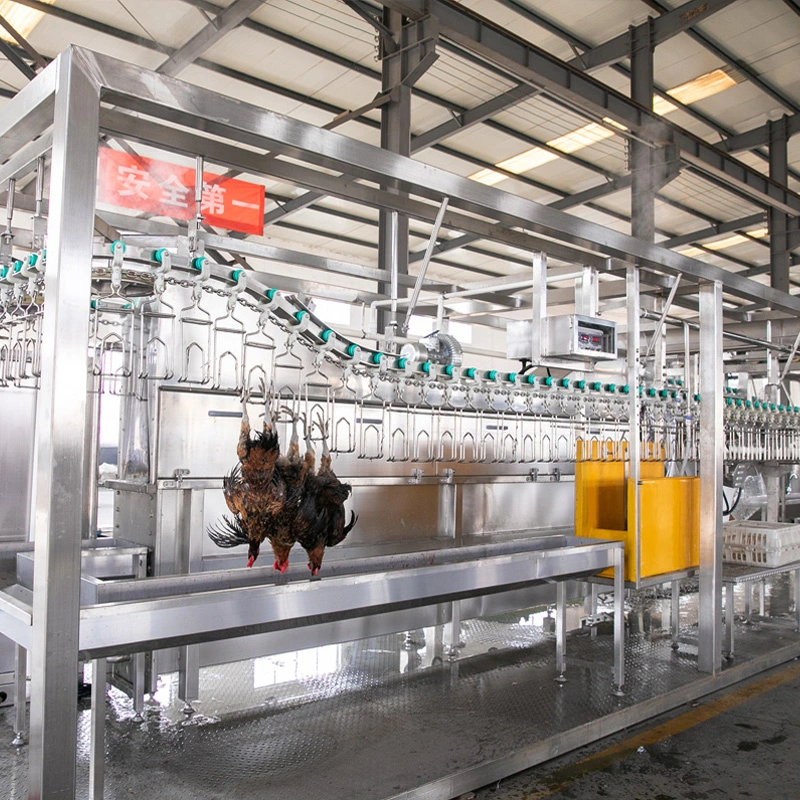 Factory Price 300-500bph Compact Auto Chicken Slaughtering Equipment for Poultry Processing Machinery