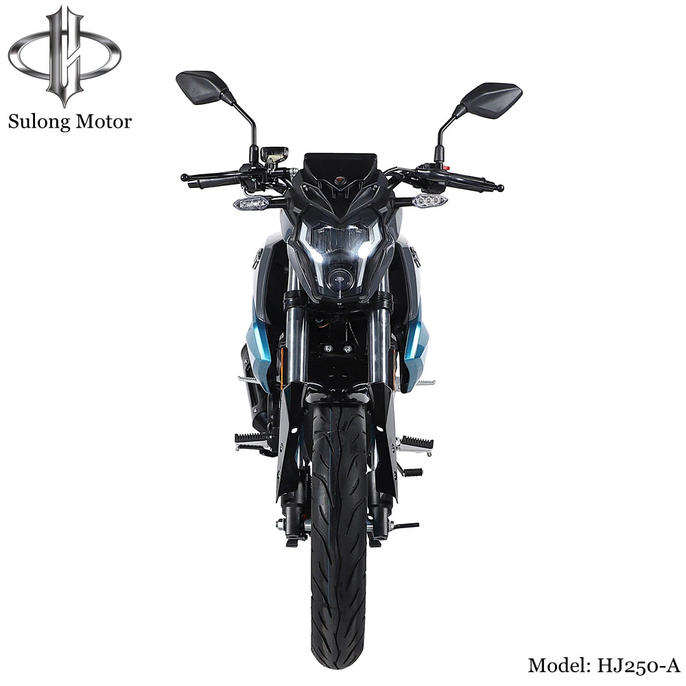 High Speed Cruiser 250cc Motorcycle Dirt Bike Street Racing Motorcycle with Guaranteed Quality