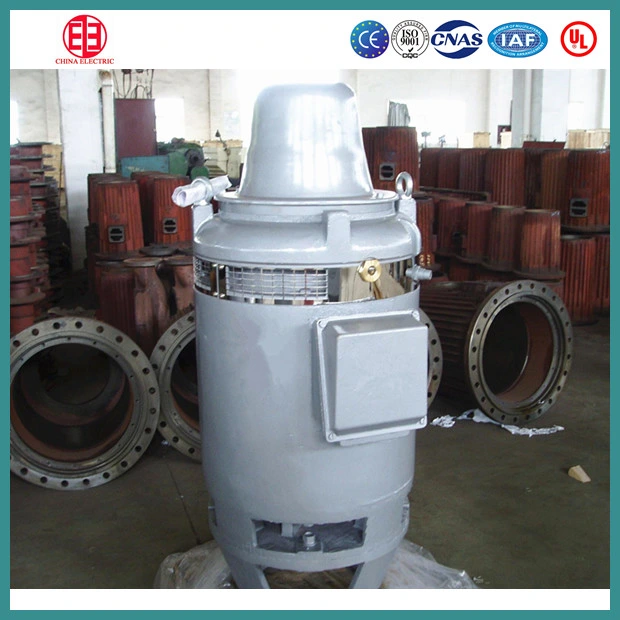 IEC Standard Deep Well Vertical Hollow Shaft Vhs Pump Motor